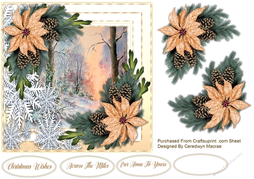7x7 Snowflakes and Poinsettias  4