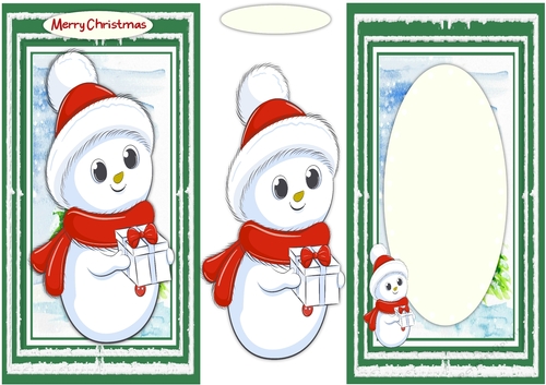 DL, Snowman  Card and Blank Insert