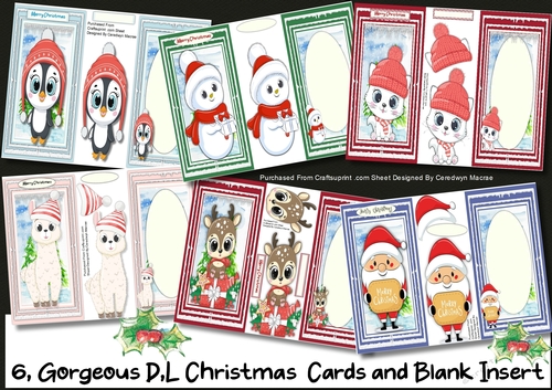 6, Gorgeous D,L Christmas Cards and Blank Insert