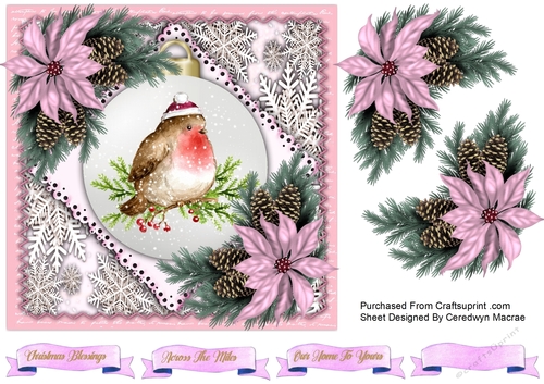 7x7 Robin Bauble  and Poinsettias