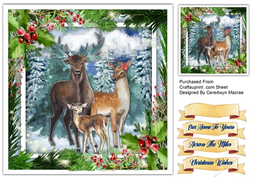 8x8 The Stag Family