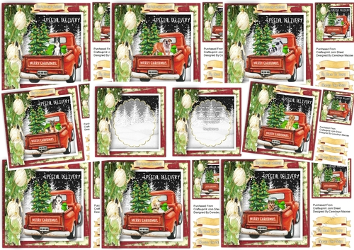 8,Lovely 8x8  cards and 2 Inserts , Special Delivery