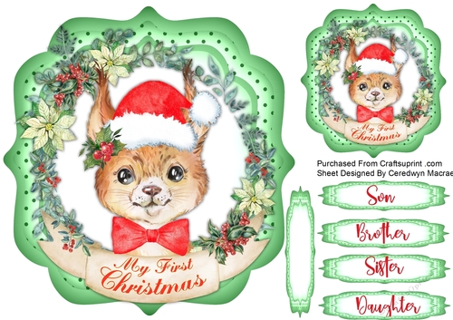 My 1st Christmas , Fox 