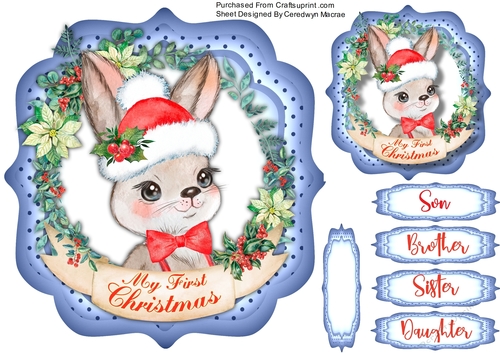 My 1st Christmas , Bunny