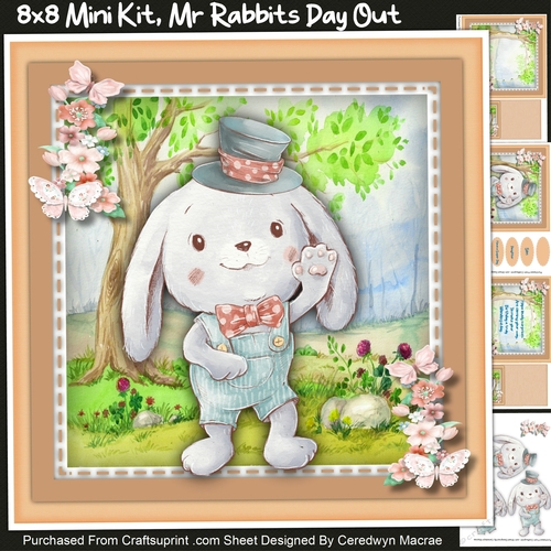 8x8 Mini Kit, Mr Rabbits Day Out