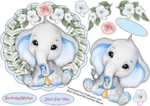 Gorgeous Blue Ellie with Dummy