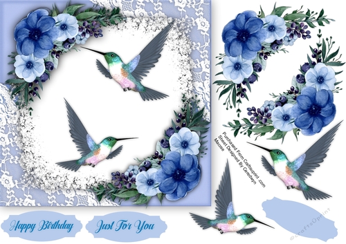 Hummingbirds and Flowers  