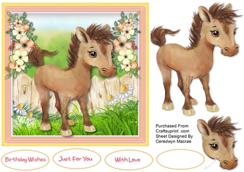 7x7 Beautiful Little Pony