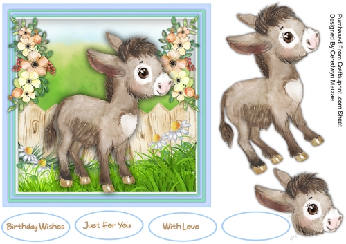 7x7 Gorgeous Little Donkey