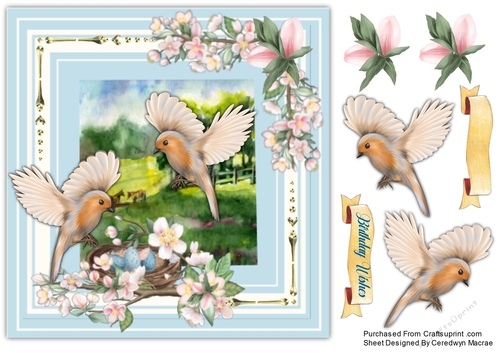 Beautiful Birds on the Wing
