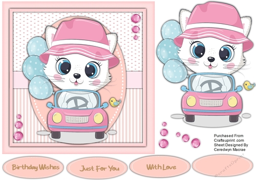 7x7 Kittys New Car