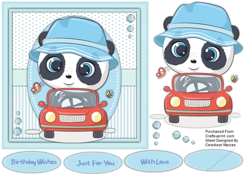 7x7 Pandas New Car
