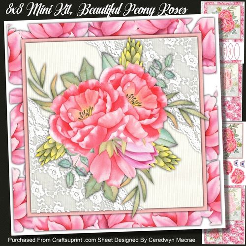 8x8 Mini Kit, Beautiful Peony Roses