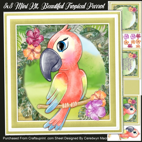 8x8 Mini Kit, Gorgeous Tropical Parrot 1