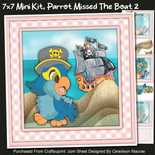 7x7 Mini Kit, Parrot Missed the Boat 2