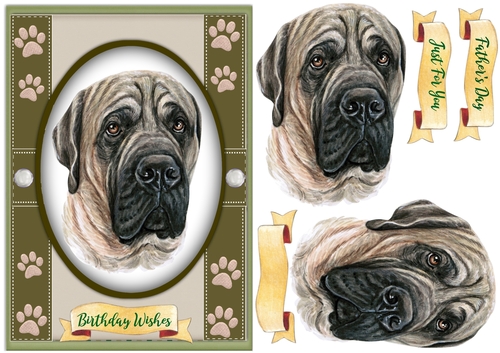 A5 Beautiful English Mastiff