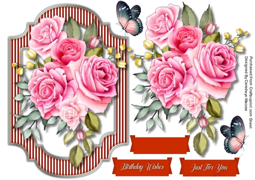 Pink Roses in a Bracket Mat