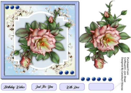 7X7 ,Beautiful Rose and Babys Breath