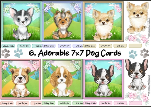 6, Adorable 7x7 Dog Cards 