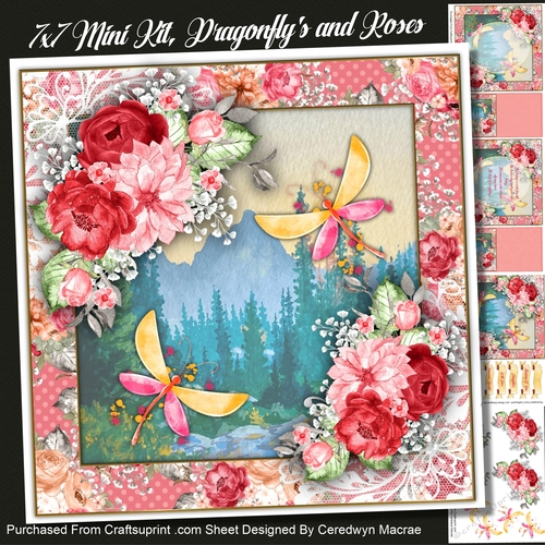 7x7 Mini Kit, Dragonflys and Roses