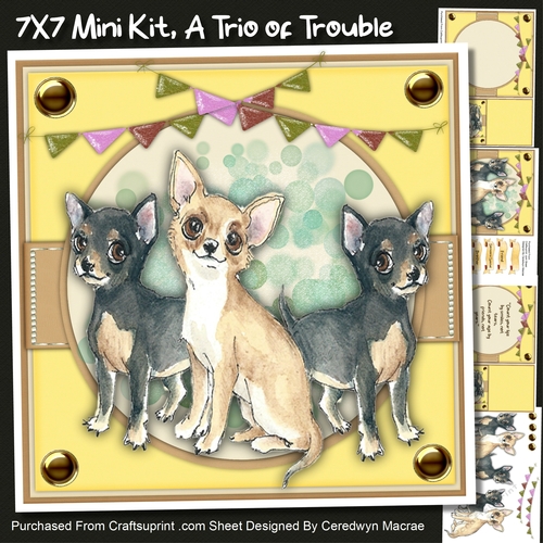 7x7 Mini Kit, A Trio Of Trouble