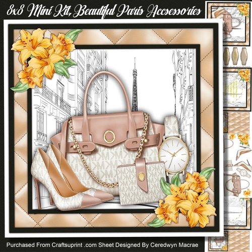 8x8 Min Kit, Beautiful Paris Accessories 