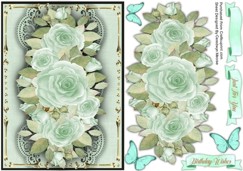 A5, Aqua Rose Spray