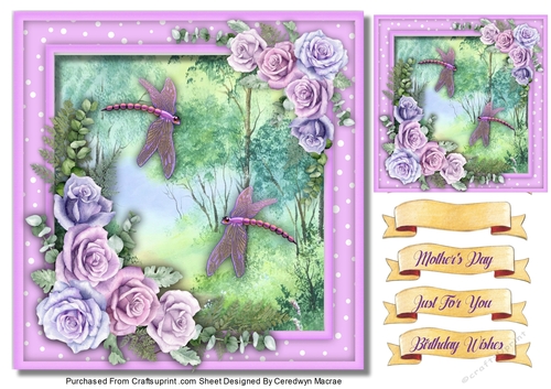 8x8, Beautiful Dragonflys Flight