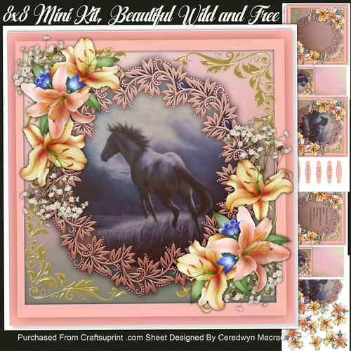 8x8 ,Mini Kit Beautiful Wild and Free