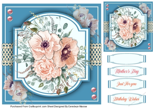 7x7, Beautiful Poppy and Roses