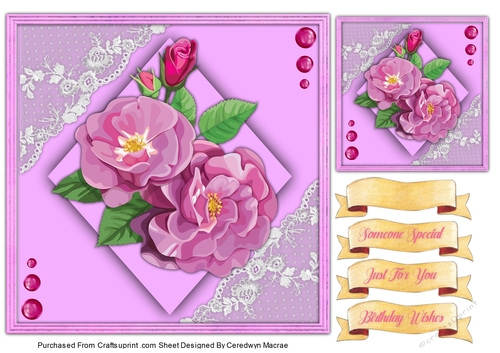 7x7 Beautiful  Lilac Brier Roses
