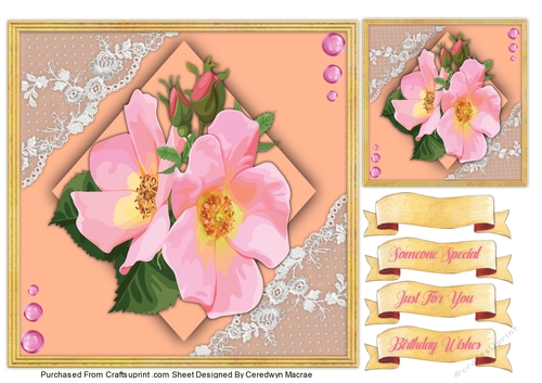 7x7 Beautiful  Brier Roses