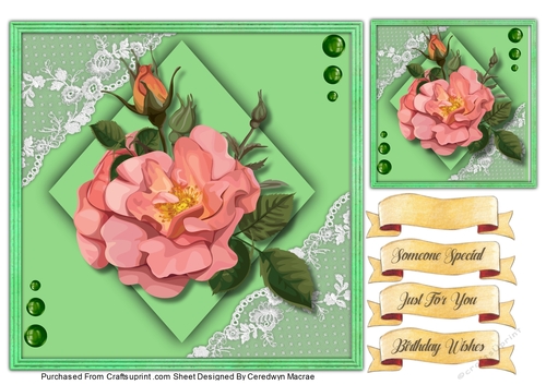 7x7 Beautiful Pink Brier Roses