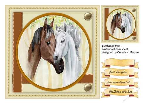 7x7 Beautiful Beauties