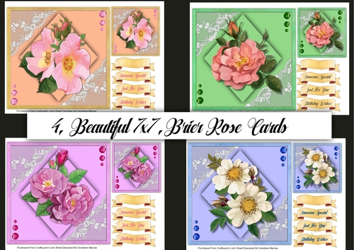 4, Beautiful 7x7 Brier Rose Cards 