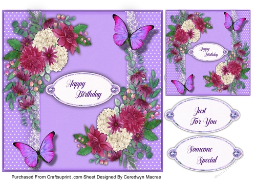 7x7 , Lace and Rose