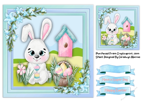7x7 , Cute Bunny Hop