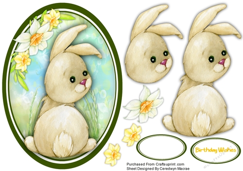 Gorgeous Little Bunnykins