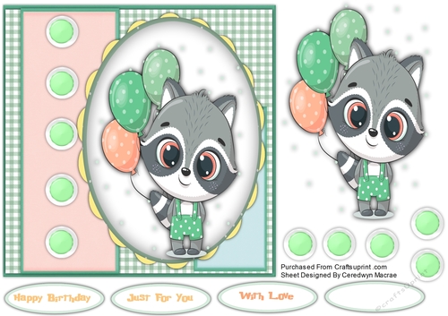 7x7, Gorgeous Raccoon 1