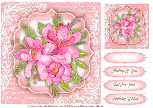 Beautiful Magnolias  on Lace