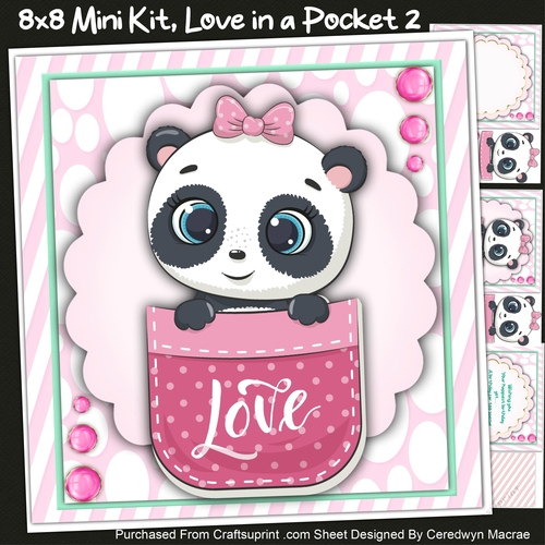 8x8 Mini Kit, Love in a Pocket 2