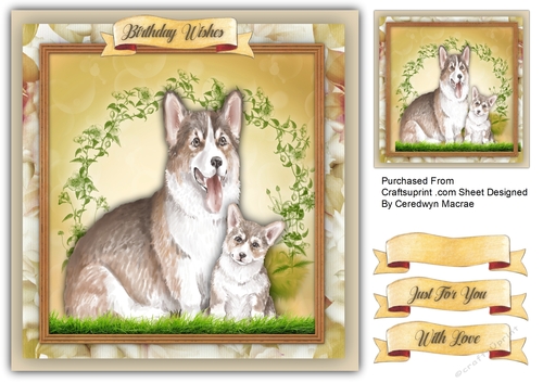 Beautiful Corgi Mum and Pup