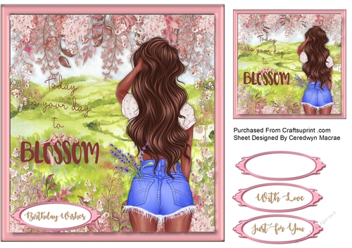 Your Time To Blossom  3, Ethnic