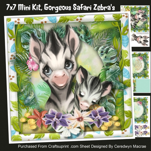 7x7 Mini Kit, Gorgeous Safari Zebras 