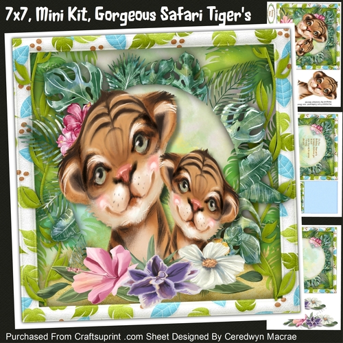 7x7 Mini Kit, Gorgeous Safari Tigers