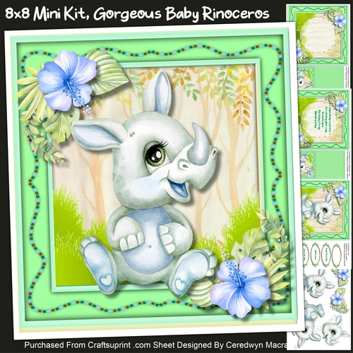 8x8 Mini Kit, Gorgeous Baby Rinoceros 