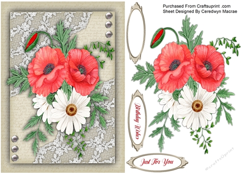A5, Beautiful Poppys and Daisys