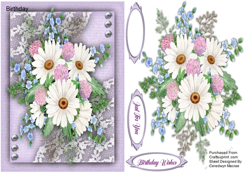 A5, Daisys and Clover