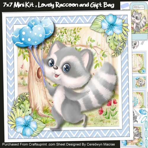 7x7 Gorgeous Raccoon and Gift Bag