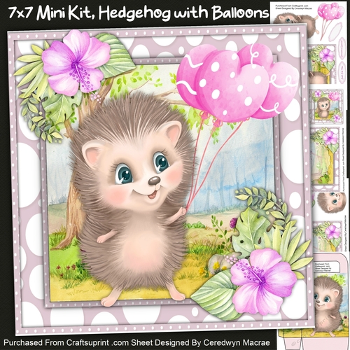 7x7 Gorgeous Hedgehog  and Gift Bag
